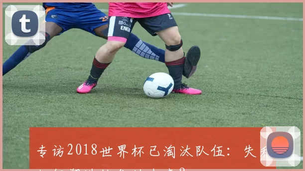 专访2018世界杯已淘汰队伍:失利如何塑造他们的未来?