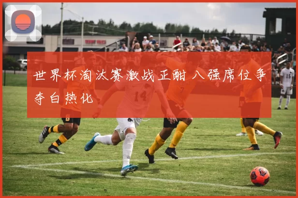 世界杯淘汰赛激战正酣 八强席位争夺白热化