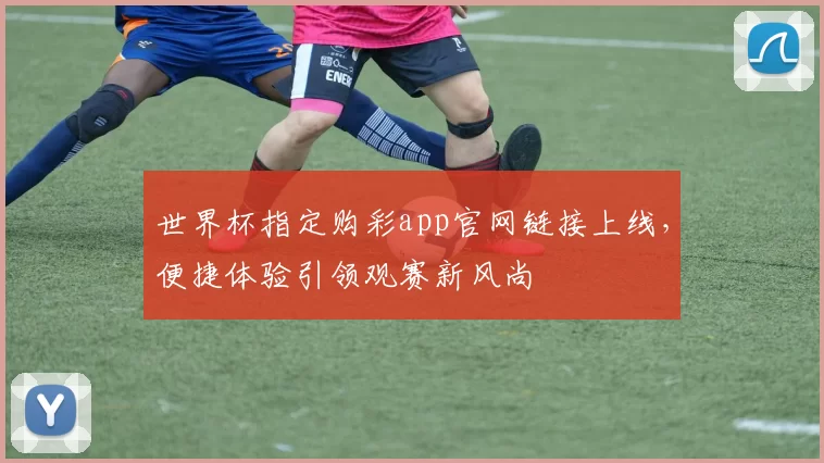 世界杯指定购彩app官网链接上线，便捷体验引领观赛新风尚