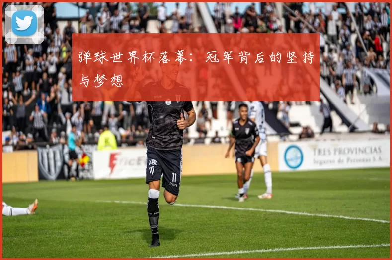 弹球世界杯落幕:冠军背后的坚持与梦想