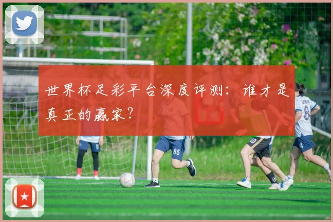 世界杯足彩平台深度评测:谁才是真正的赢家?
