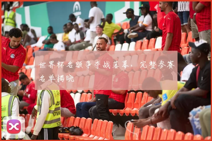 世界杯名额争夺战落幕，完整参赛名单揭晓