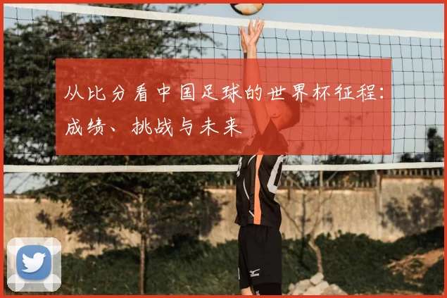 从比分看中国足球的世界杯征程：成绩、挑战与未来