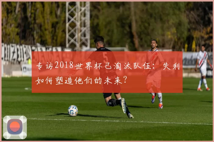 专访2018世界杯已淘汰队伍:失利如何塑造他们的未来?