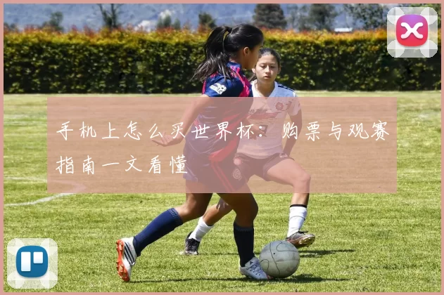 手机上怎么买世界杯:购票与观赛指南一文看懂