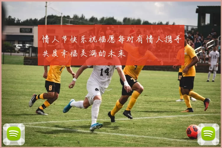 情人节快乐祝福愿每对有情人携手共度幸福美满的未来