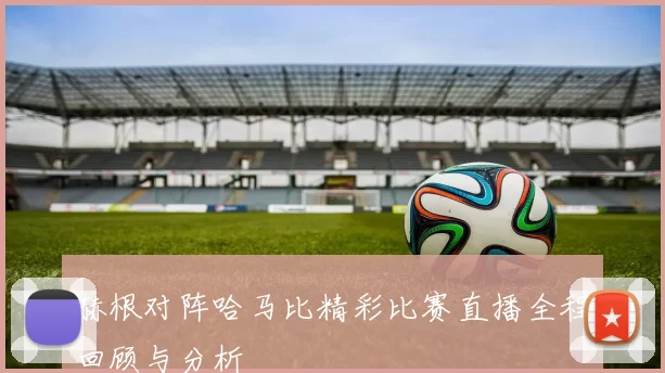 赫根对阵哈马比精彩比赛直播全程回顾与分析