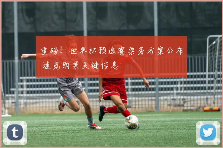 重磅！世界杯预选赛票务方案公布 速览购票关键信息