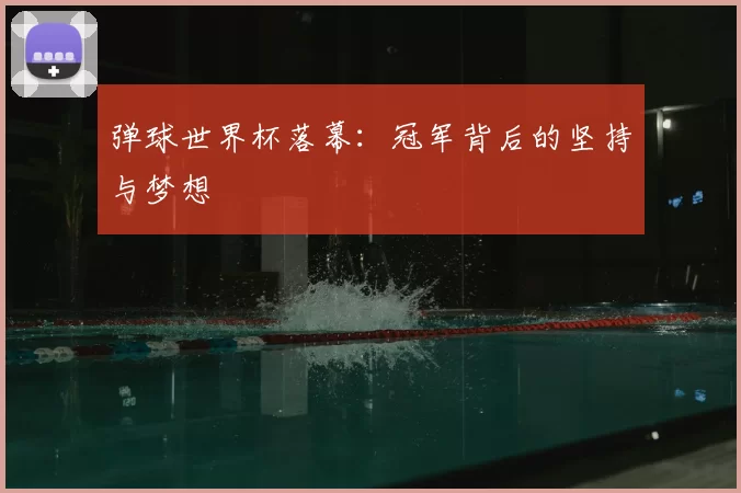 弹球世界杯落幕：冠军背后的坚持与梦想