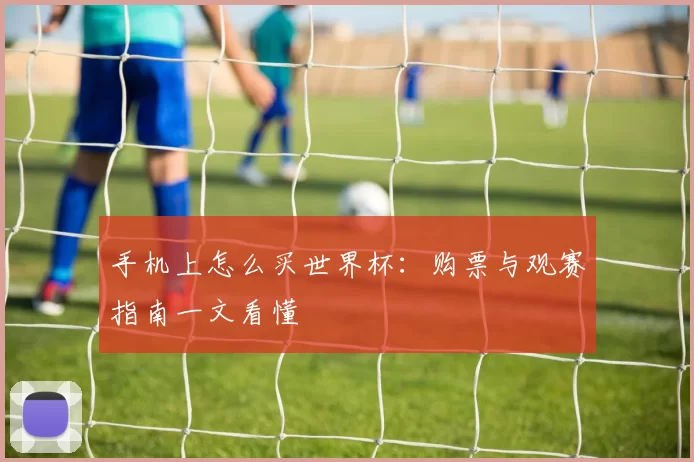 手机上怎么买世界杯：购票与观赛指南一文看懂
